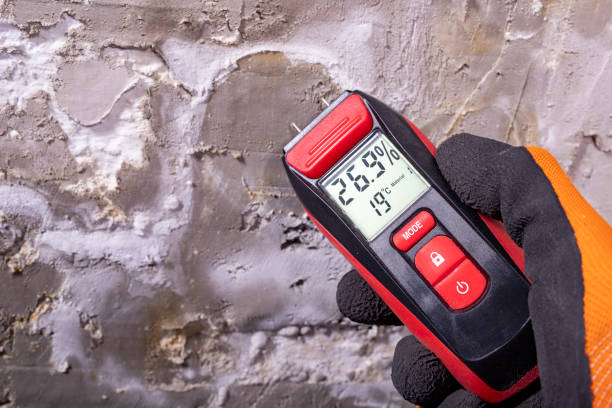 Best Emergency Mold Remediation in Kingston, OK