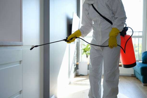 Best Residential Mold Remediation in Kingston, OK
