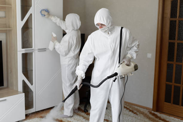 Best White Mold Remediation in Kingston, OK
