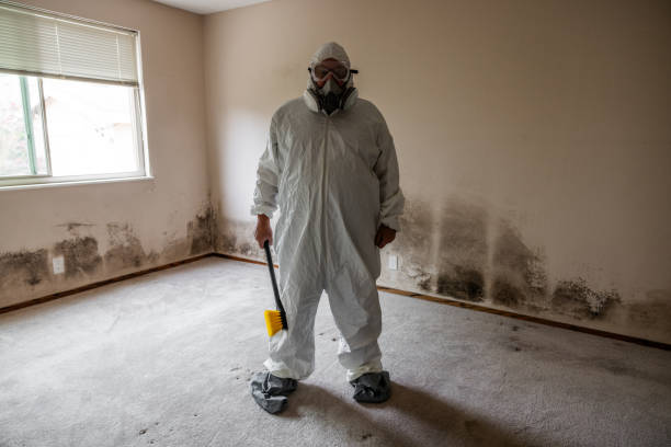 Best Post-Flood Mold Remediation in Kingston, OK